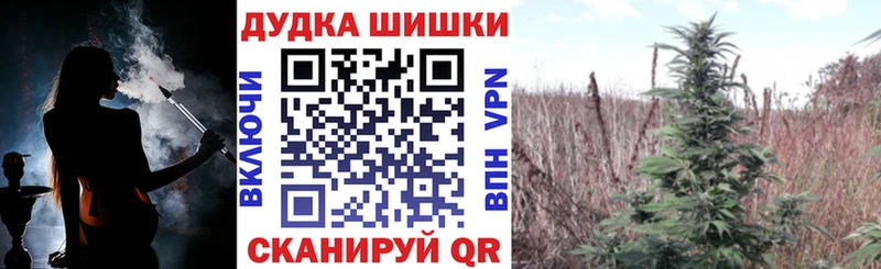 Конопля Amnesia  Александровск 